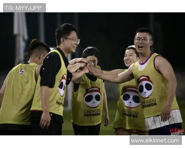 赵伟独家分享乒乓球技巧与心得助你提升竞技水平和比赛表现